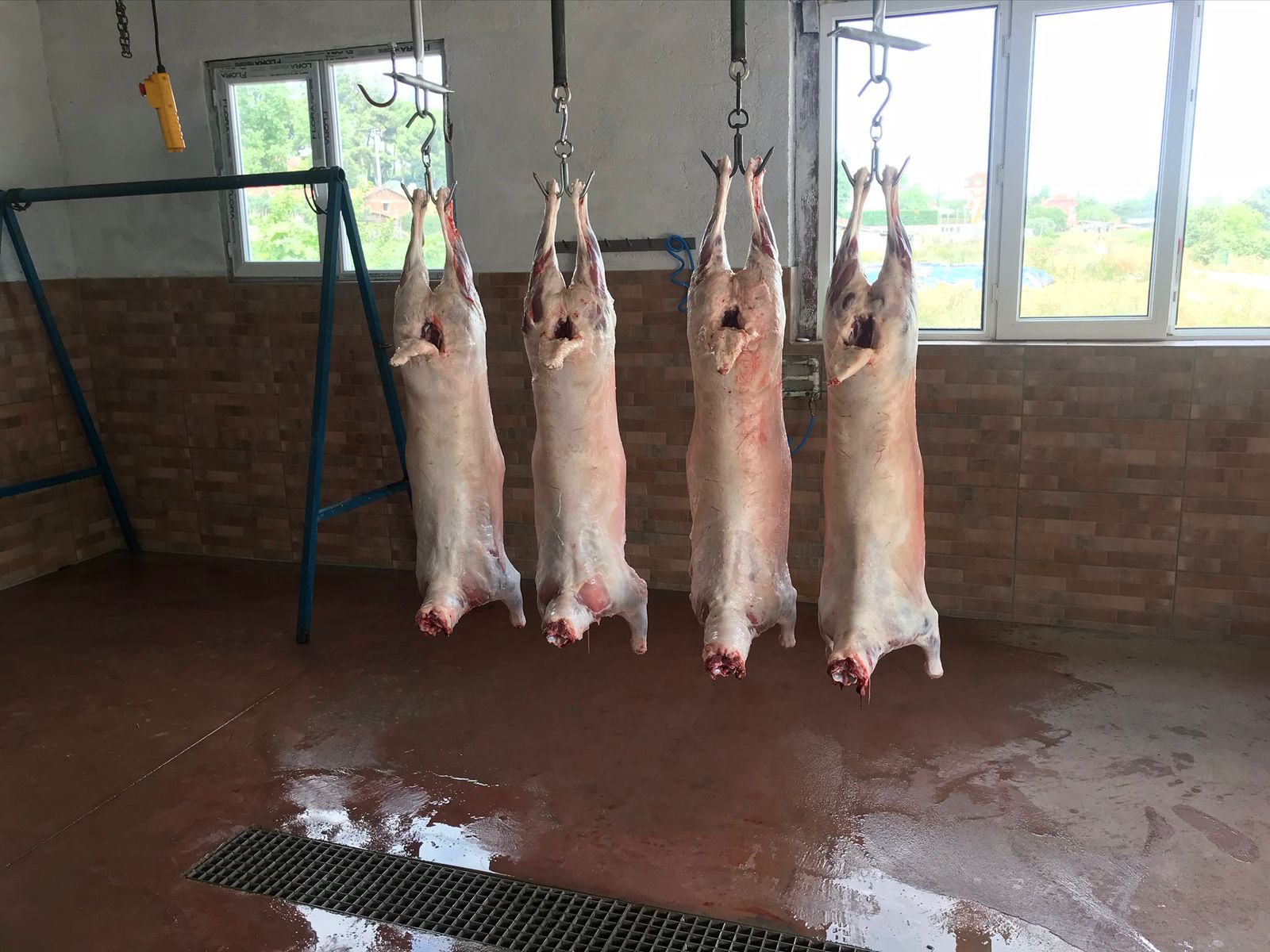 Bursa Kurban Kesim Yerleri
