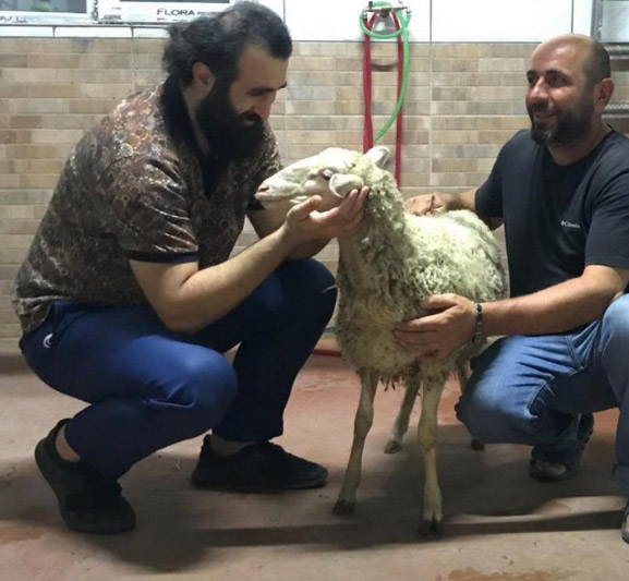 Adak Kurbanı Hizmetleri ve Fiyatları